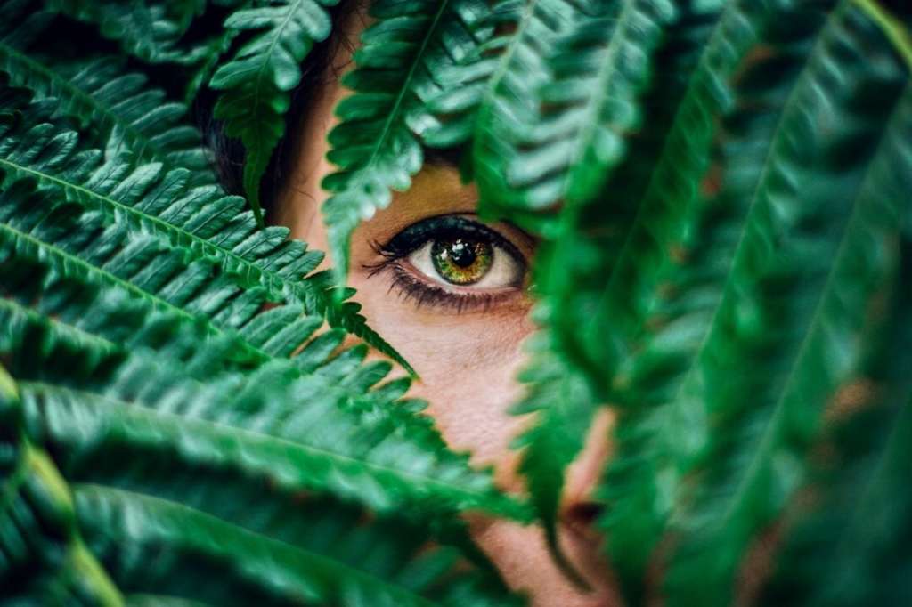 Clairvoyance is the psychic ability of sight which enables psychics and mediums to see the past, and the present and predict future events using their mind’s eye, the imagination. 