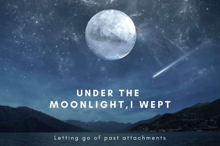 Under the moonlight, I wept