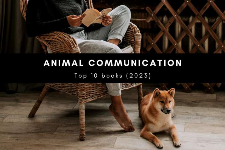 14 Best Animal Communication Books