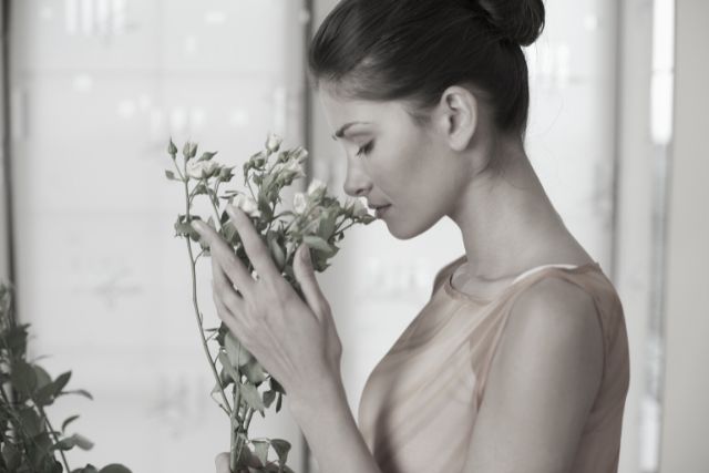 Scent phenomena