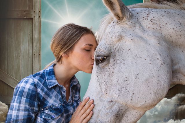 What is an Animal Medium?