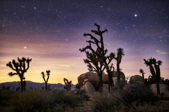 "As the stars shine above, may your spirit continue to illuminate our lives with love and warmth." 