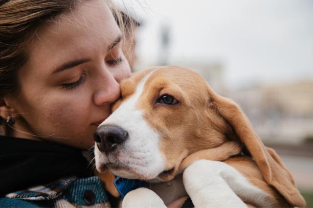 End-Of-Life Animal Communication Session
