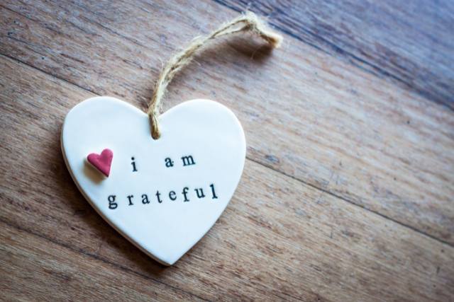 "The highest honour to our animals in the afterlife isn't grief, it is gratitude for having been a part of our lives." 