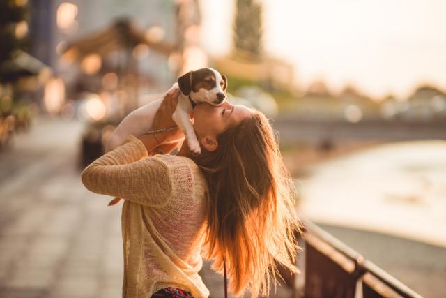 Best Dog Memorial Quotes