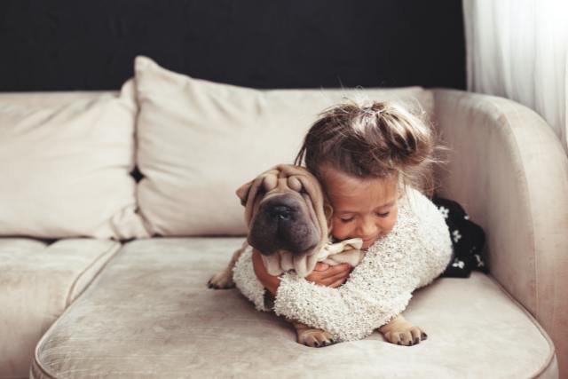 Speak to pets in heaven by sitting on their favourite spot on the sofa