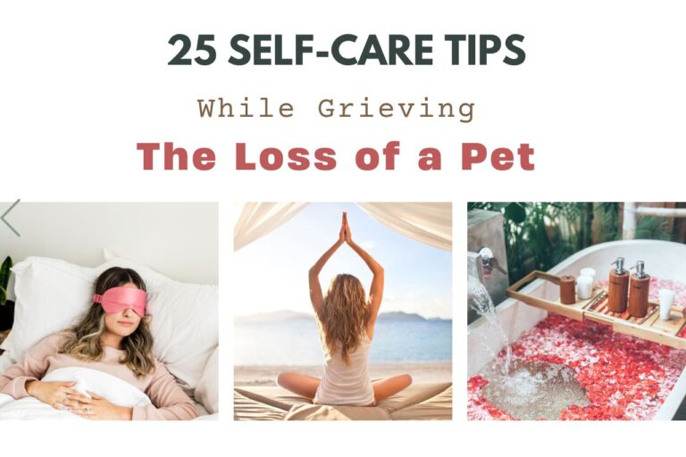 25 Self-Care Tips While Grieving The Loss Of A Pet