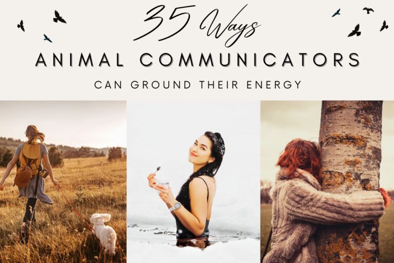 35 ways animal communicators can ground their energy