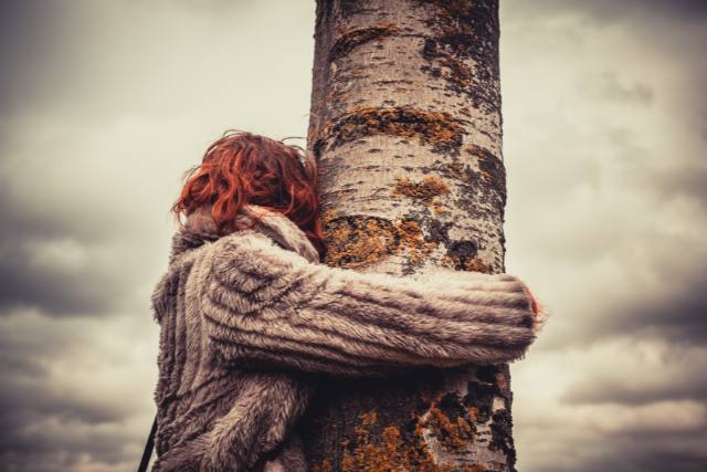 Pet Mediums can ground by Connecting With A Tree