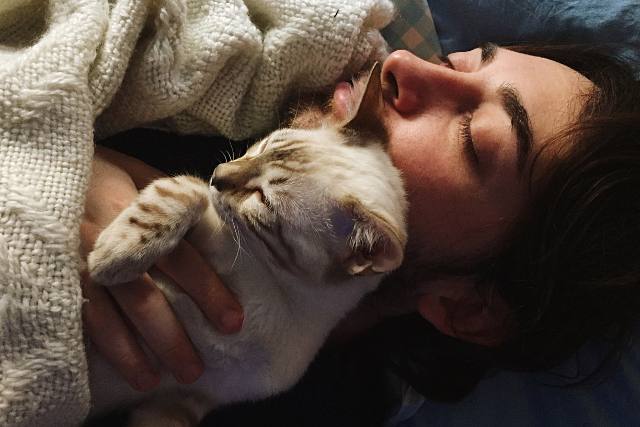 38 Signs your deceased cat is still with you
