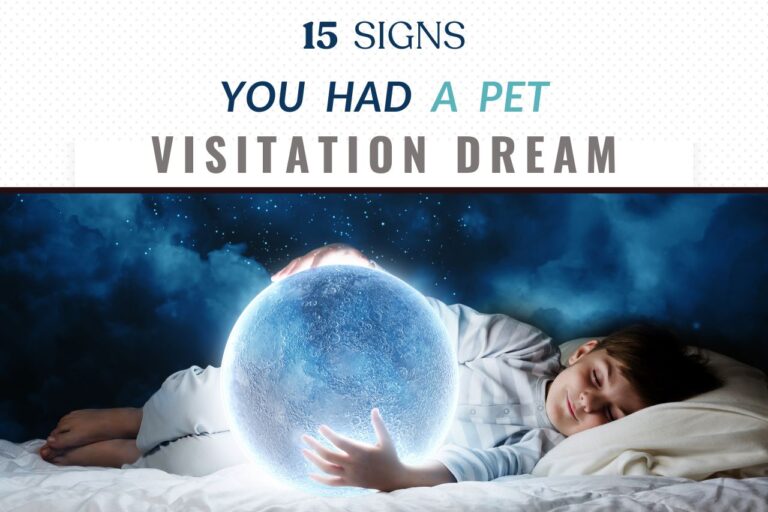 Signs you had a pet visitation dream