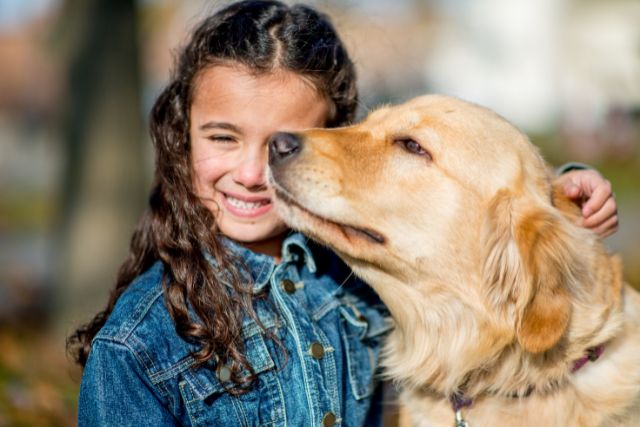 pets Can Reincarnate Back To Their Families