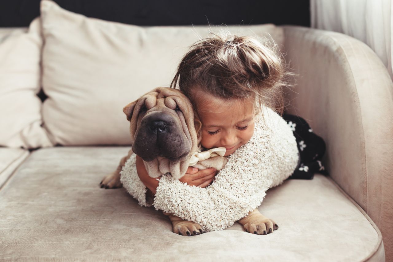Animal Communication Sessions to find lost or missing pets