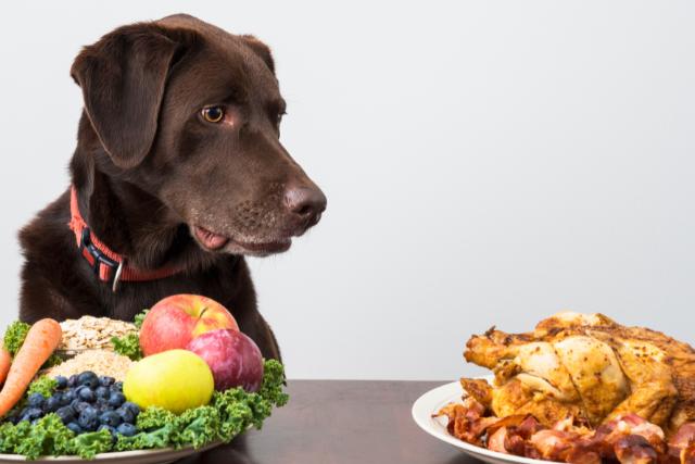 You may telepathically taste things your animal likes