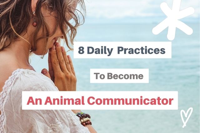 8 daily practices to become an animal communicator