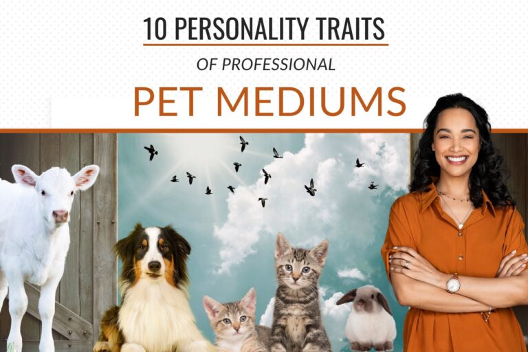 10 Personality Traits Of A Successful Pet Medium