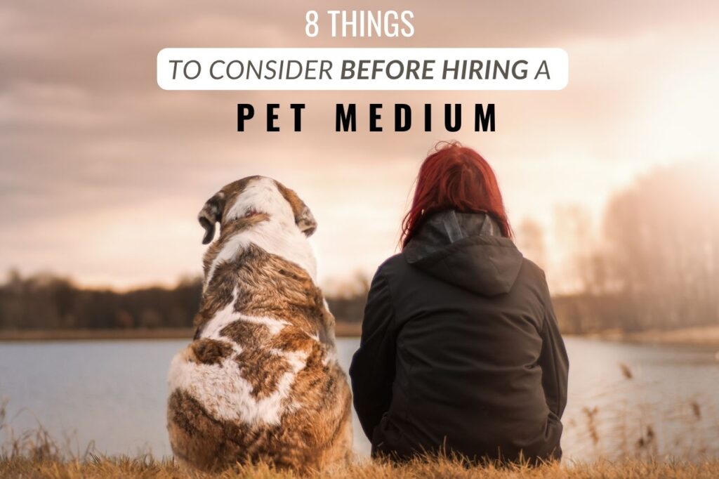 Things You Should Consider Before Hiring A Pet Medium