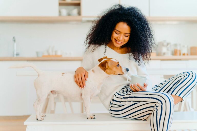 11 Signs You Are An Animal Communicator
