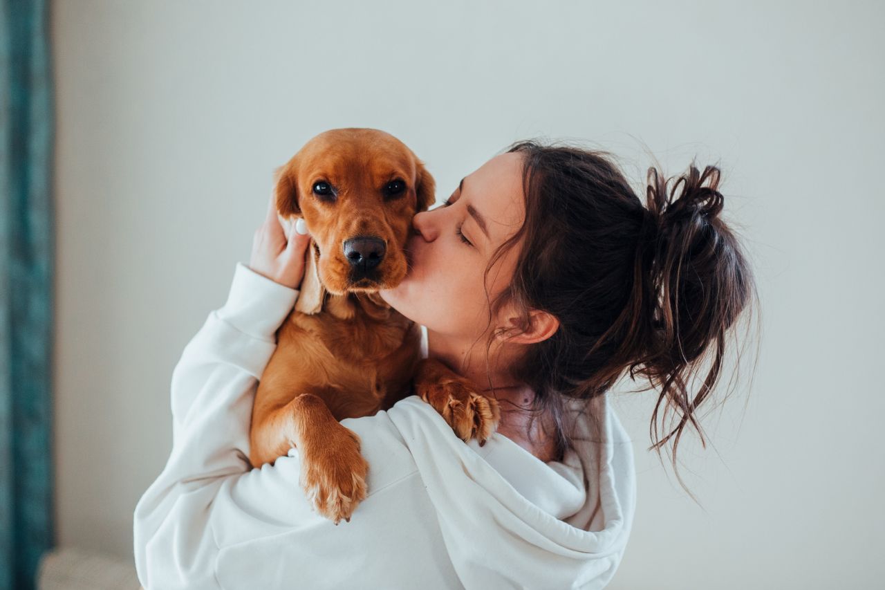 Animal communication sessions to find lost or missing pets