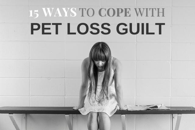 15 Practical Ways To Cope With Pet Loss Guilt