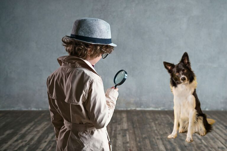 6 Ways To Find your Reincarnated Pet