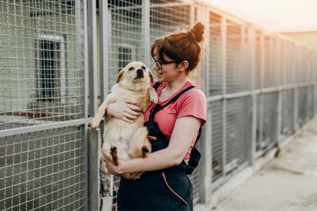 11 Signs You Are An Animal Communicator