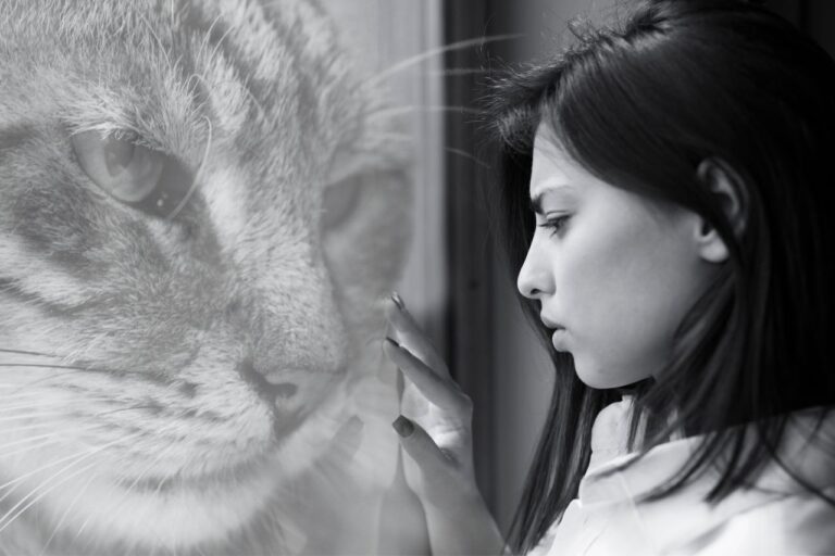 Coping with Pet Loss: A Guide to the 8 Stages of Grief