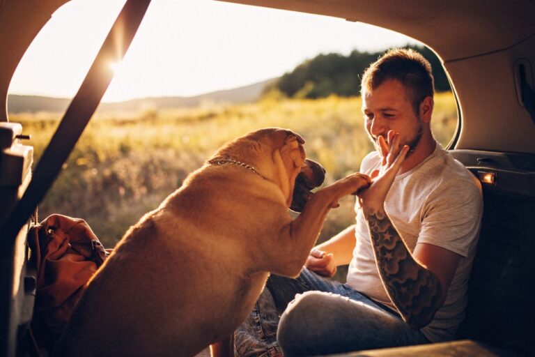 What Are pet Soul Contracts? Discover Their Impact on Your  Spiritual Connection