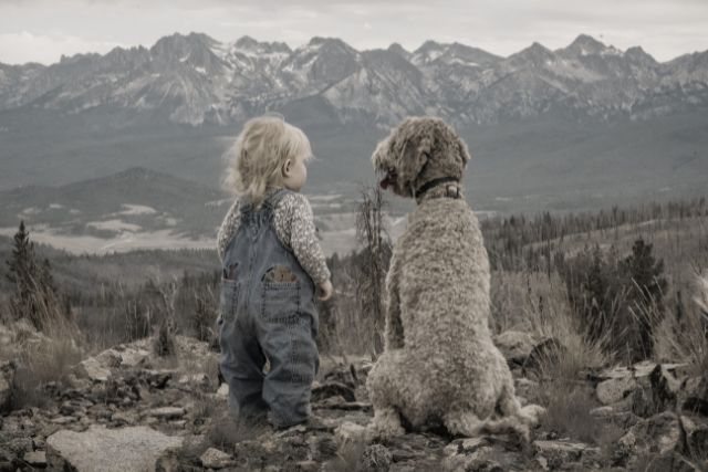 Do pets have past lives? Explore the signs of animal reincarnation, soul connections, and how to know if your beloved pet has returned to you.