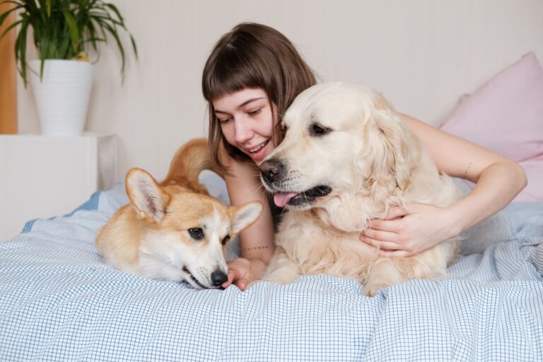 10 profound Soul Lessons Your Pet Is Teaching You (Even If You Don’t Realize It)