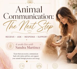 Animal Communication Course The Next Step