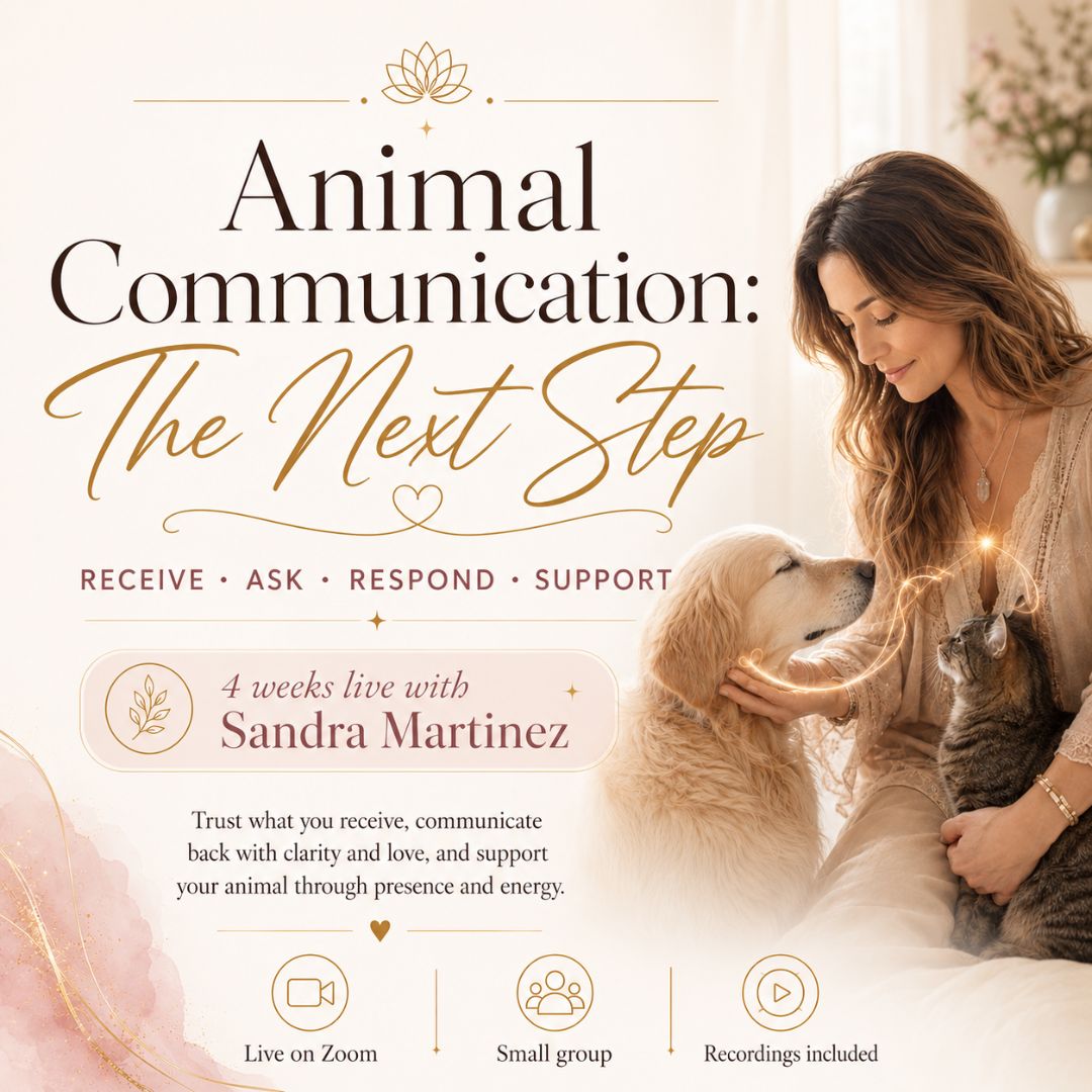 Animal Communication Course The Next Step